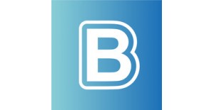 Bestway