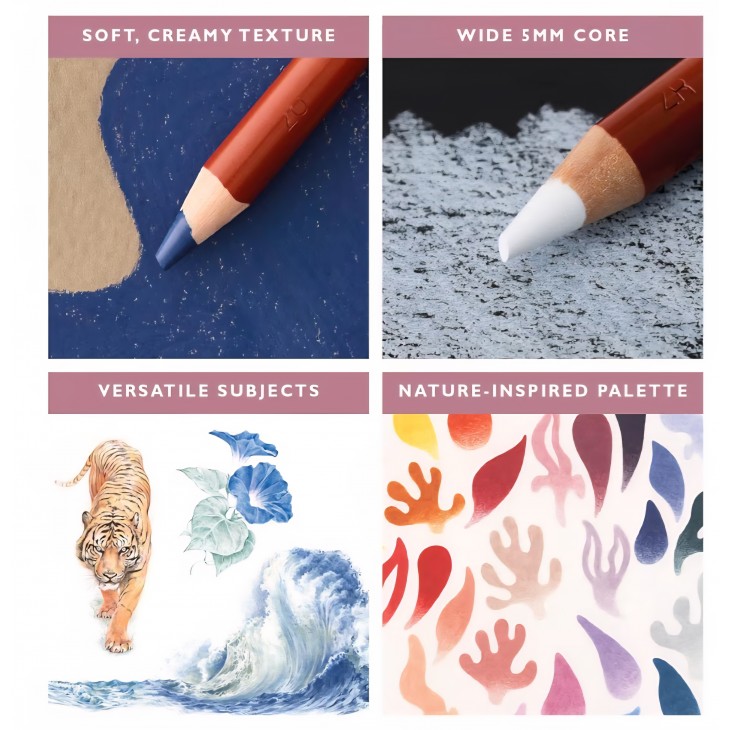 Set 12 creioane colorate profesionale Derwent Drawing, calitate premium, culori intense, pentru desen artistic și schițe, Multi-Colour