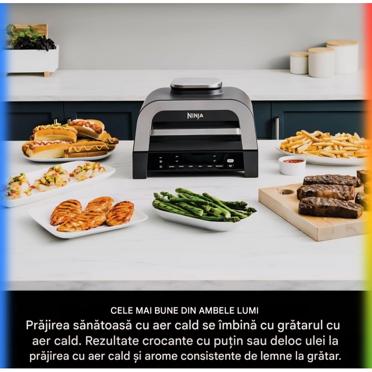 Grill electric si friteuza cu aer cald Ninja MAX DG551EU, 6 in 1, 3.8 L, pentru interior, 6 functii de gatire, capacitate pana la 6 burgeri, fum redus, termometru digital inclus, gri/argintiu, termen livrare 7-8 zile