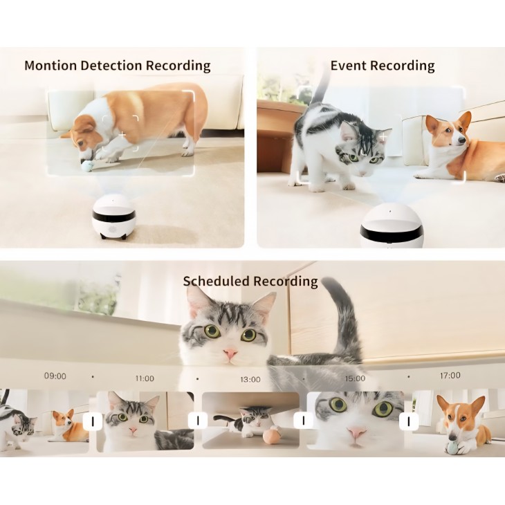 Robot cameră inteligentă Enabot EBO ROLA Mini FamilyBot, cameră 2K pentru animale de companie, cameră mobilă de interior, apel rapid, audio bidirecțional, vedere nocturn, livrare 7-8 zile